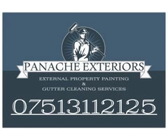 External property painting and gutter cleaning services