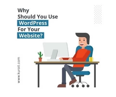 Wordpress Hosting Plans