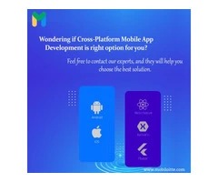 Mobiloitte - The #1 Choice for Cross-Platform Development 