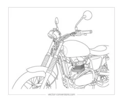 What is a vector line in art?