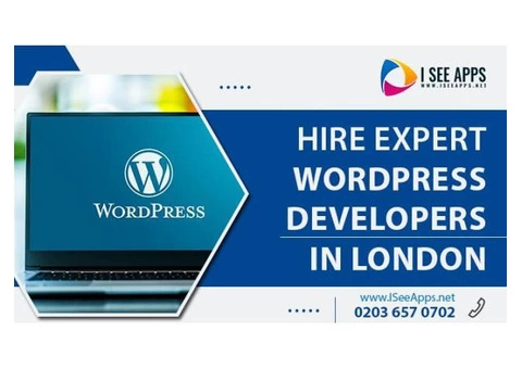 Hire expert wordpress developers in London