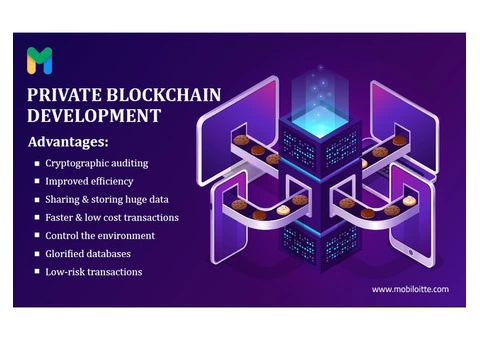 Mobiloitte is the perfect choice for your private blockchain development needs!