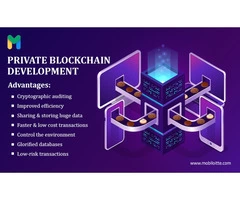 Mobiloitte is the perfect choice for your private blockchain development needs!