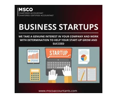 MSCO: Top-Notch Accounting Team in London