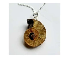At Jurassic Jewellery, our ammonite fossil collection
