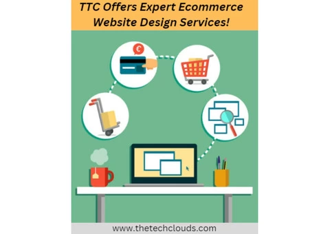 TTC Offers Expert Ecommerce Website Design Services!