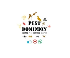 Pest Control Service in and around Slough