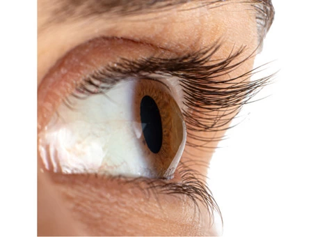 Best Eye Test In Colchester