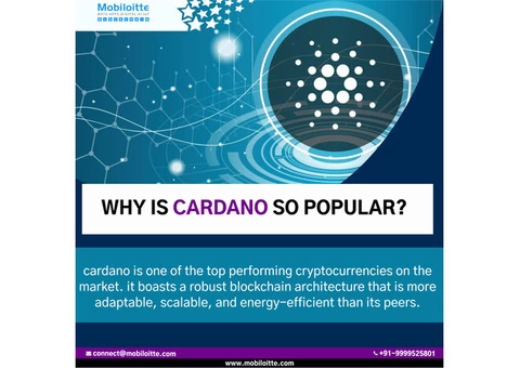 Mobiloitte's pioneering Cardano Blockchain development 