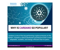 Mobiloitte's pioneering Cardano Blockchain development 
