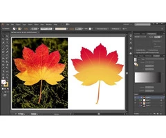 How do I convert a file to vector?