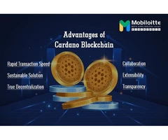 Mobiloitte's Polygon: Redefining App Development