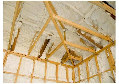 Trustable Professionals at Spray Foam Removal in Shropshire