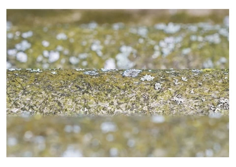 Why should you hire Ledbury Surveys Ltd for your asbestos testing in Cheltenham?
