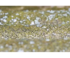 Why should you hire Ledbury Surveys Ltd for your asbestos testing in Cheltenham?