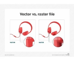 What is a vector in graphic design?