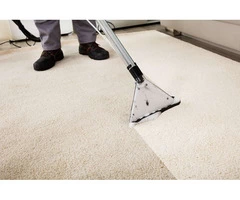 Get the Optimum Clean for Your Carpets and Upholstery