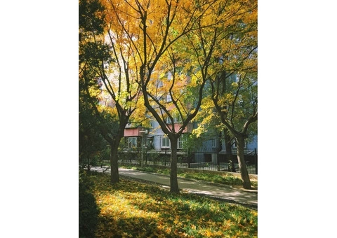 Landscaper in Reading - 1/4