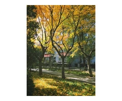 Landscaper in Reading