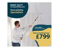 Top Rated Local Painting Professionals!