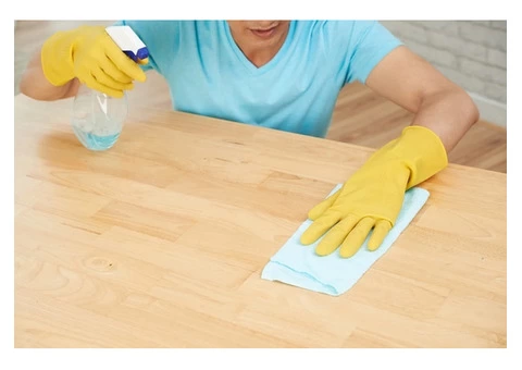 Best window cleaning service