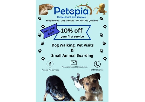 Pet services - 1/5