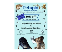 Pet services