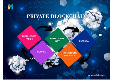 Mobiloitte: The Premier Provider of Private Blockchain Solutions
