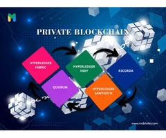 Mobiloitte: The Premier Provider of Private Blockchain Solutions
