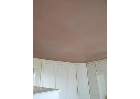 The Local plasterer LJH Plastering - 1/4