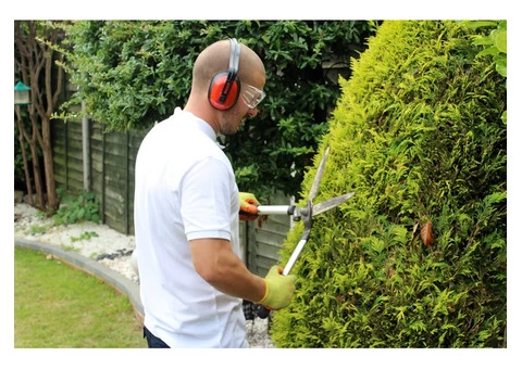 Local Gardeners in London - 3/10