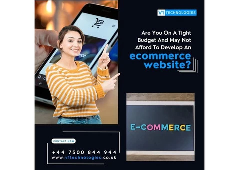 Build Advanced eCommerce Website from V1 Technologies