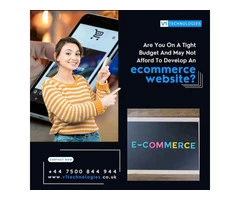 Build Advanced eCommerce Website from V1 Technologies