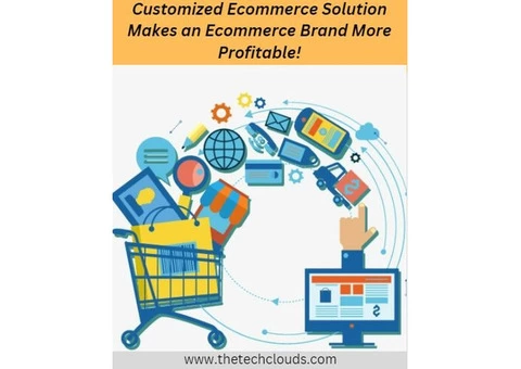 Customized Ecommerce Solution Makes an Ecommerce Brand More Profitable!