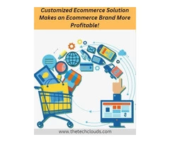 Customized Ecommerce Solution Makes an Ecommerce Brand More Profitable!