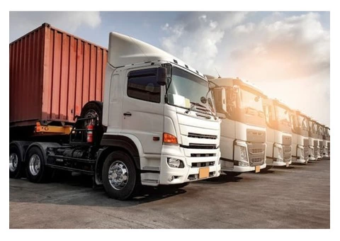 Same day Logistic Solutions Provider In London - 2/2