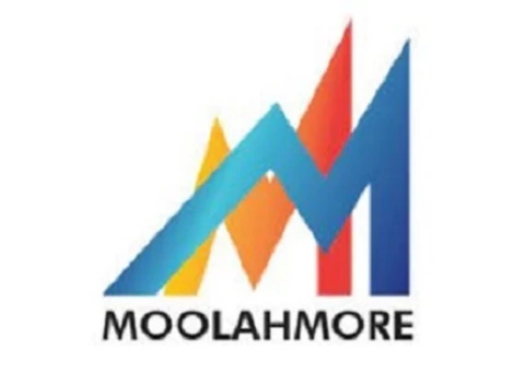 Cash Flow Management and Forecasting Software - Moolahmore