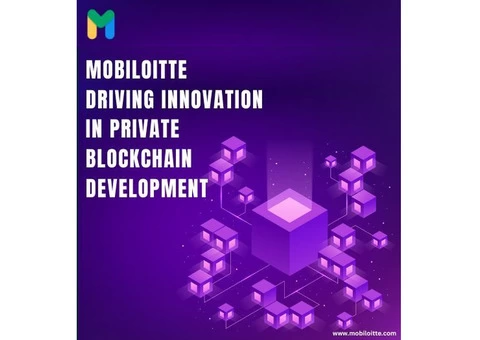 Mobiloitte's Top-Notch Private Blockchain Development Services!