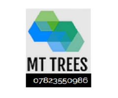 MT Trees Gallery