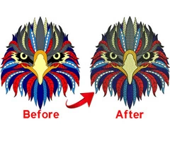 What is an Embroidery Digitizer?