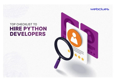 Top Checklist to Hire Python Developers