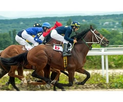 Cheltenham Racecourse Chauffeur Service