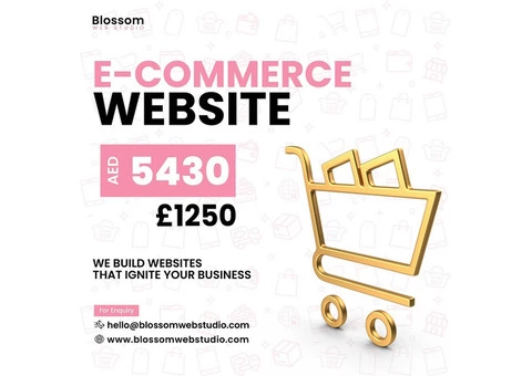 E-commerce Website Design - Starting from £1250
