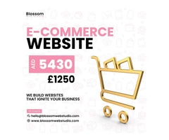 E-commerce Website Design - Starting from £1250