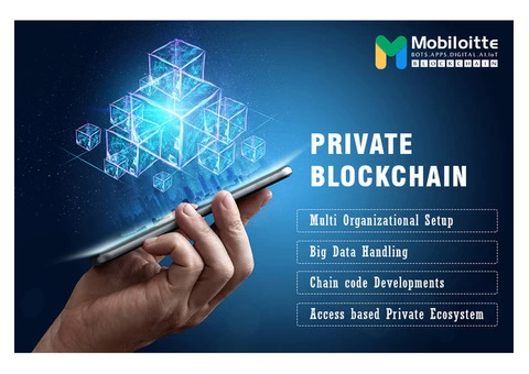 Contact Mobiloitte for Private Blockchain Development Solutions