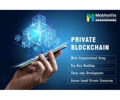 Contact Mobiloitte for Private Blockchain Development Solutions