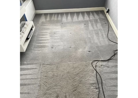 Contact US If You Need Professional Carpet Cleaning In Liverpool
