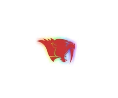 East Essex Sabres American Football Club