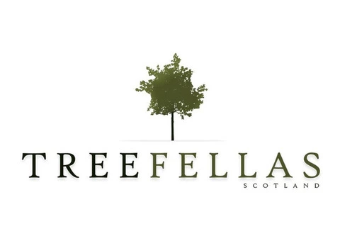Get Tree Surgeons in Glasgow at an affordable costs