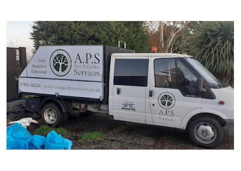 Best Tree Surgeons in Black Cross